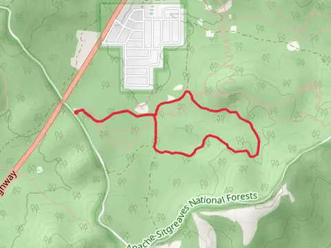 Buena Vista Short Loop Trail