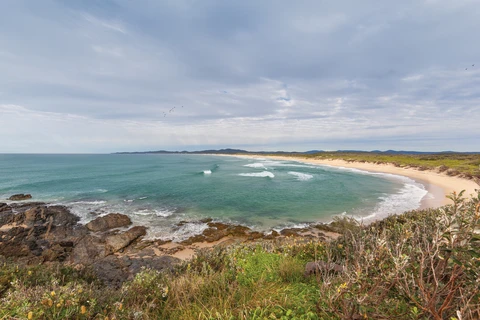 Wilsons Headland Track