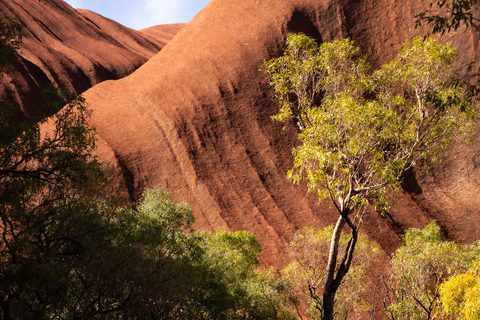 North-east face Walk