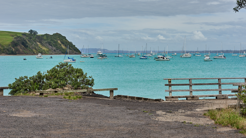 Rangitoto Island Longer Walks - Rangitoto Wharf to Summit to Islington Bay