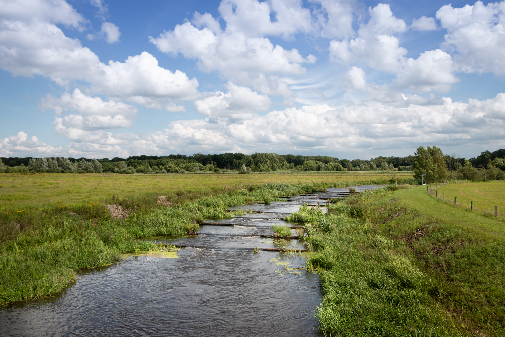 An image depicting the trail Kolenmieten and Knolsdijk Loop and its surrounding area.