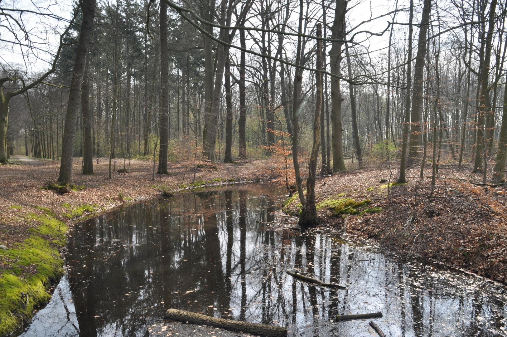 An image depicting the trail Olst to Zutphen via Sallandpad and Hanzestedenpad and its surrounding area.