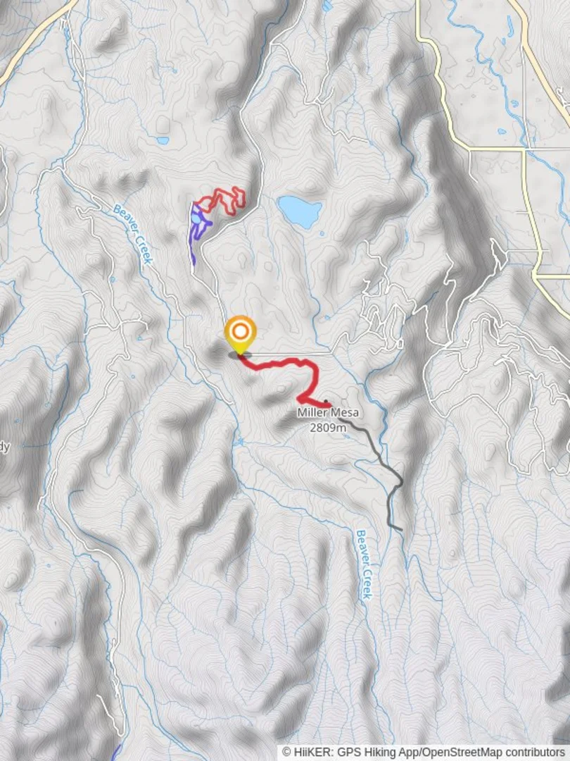 An image depicting the trail Miller Mesa via Miller Mesa Nordic and its surrounding area.