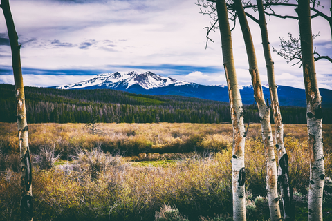 An image depicting the trail Bill Miller Trail and its surrounding area.