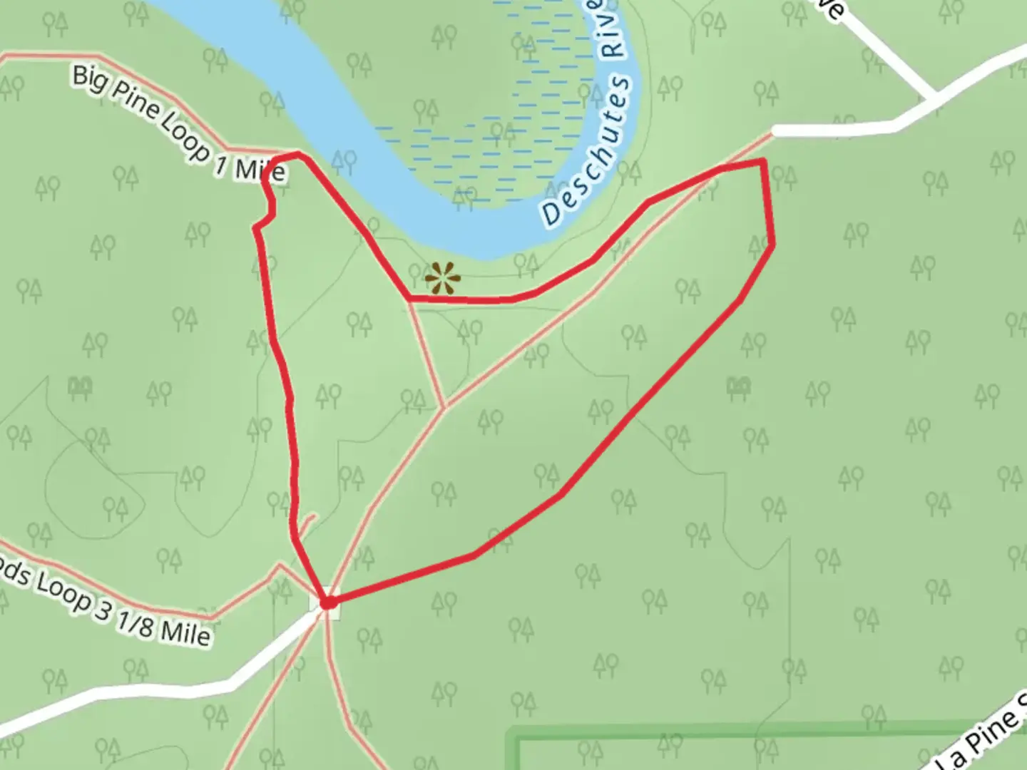 An image depicting the trail Big Pine Loop 1 Mile and its surrounding area.