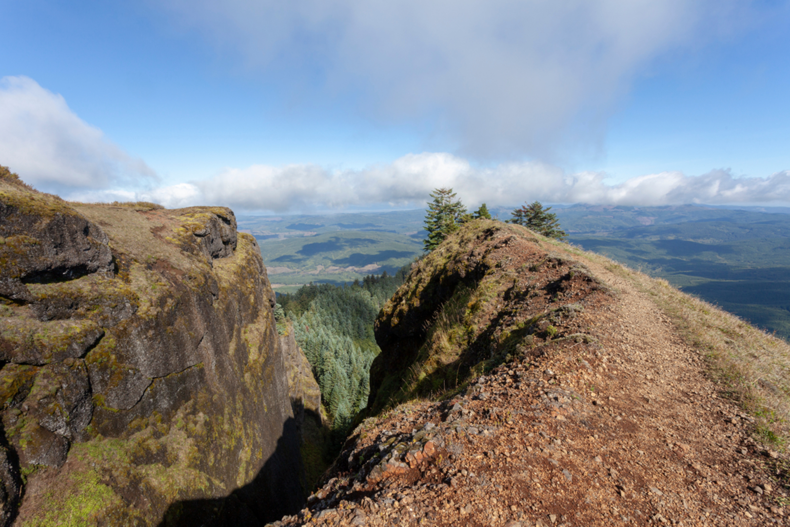 An image depicting the trail Saddle Mountain via Saddle Mountain Trail and its surrounding area.