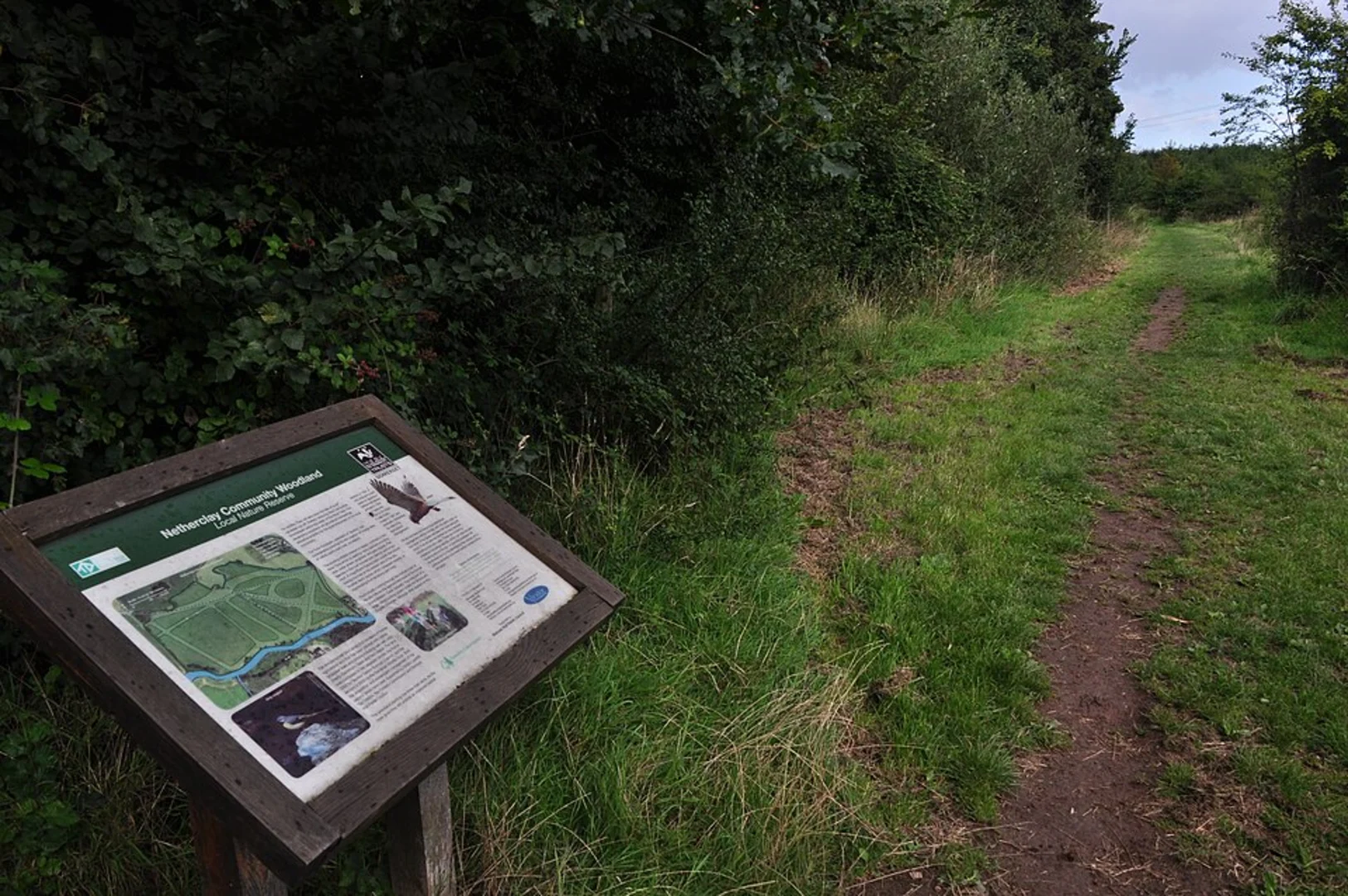 An image depicting the trail Netherclay Community Woodland Local Nature Reserve Loop and its surrounding area.