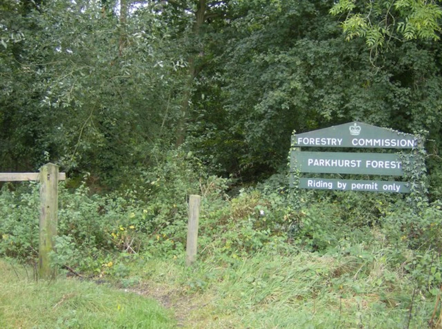 An image depicting the trail Parkhurst Forest and Hillisgate and its surrounding area.