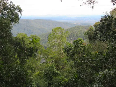 Westside Window Track