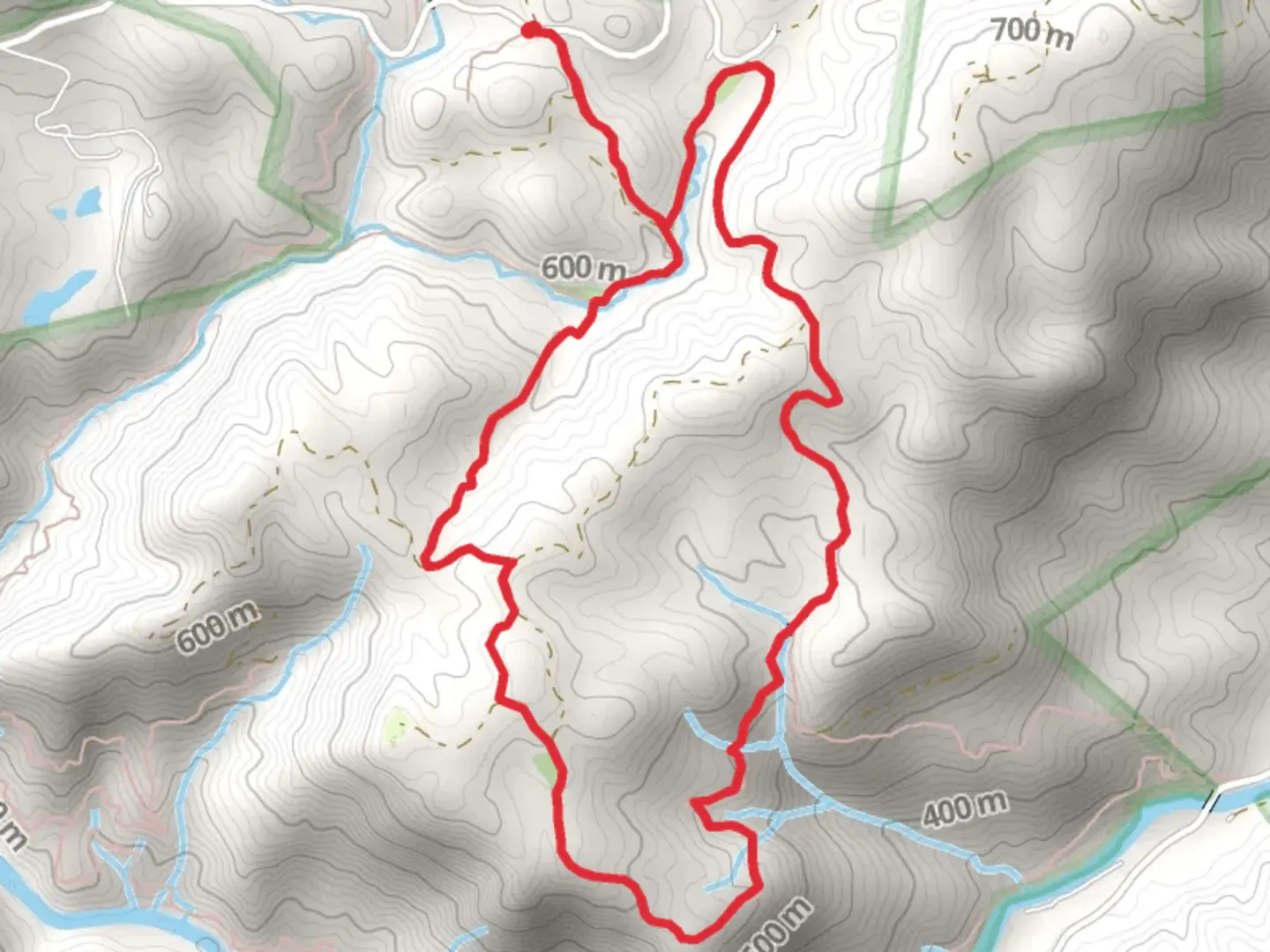 An image depicting the trail Bishop Branch Trail, Stair Step Fall Trail and Connector Trail and its surrounding area.