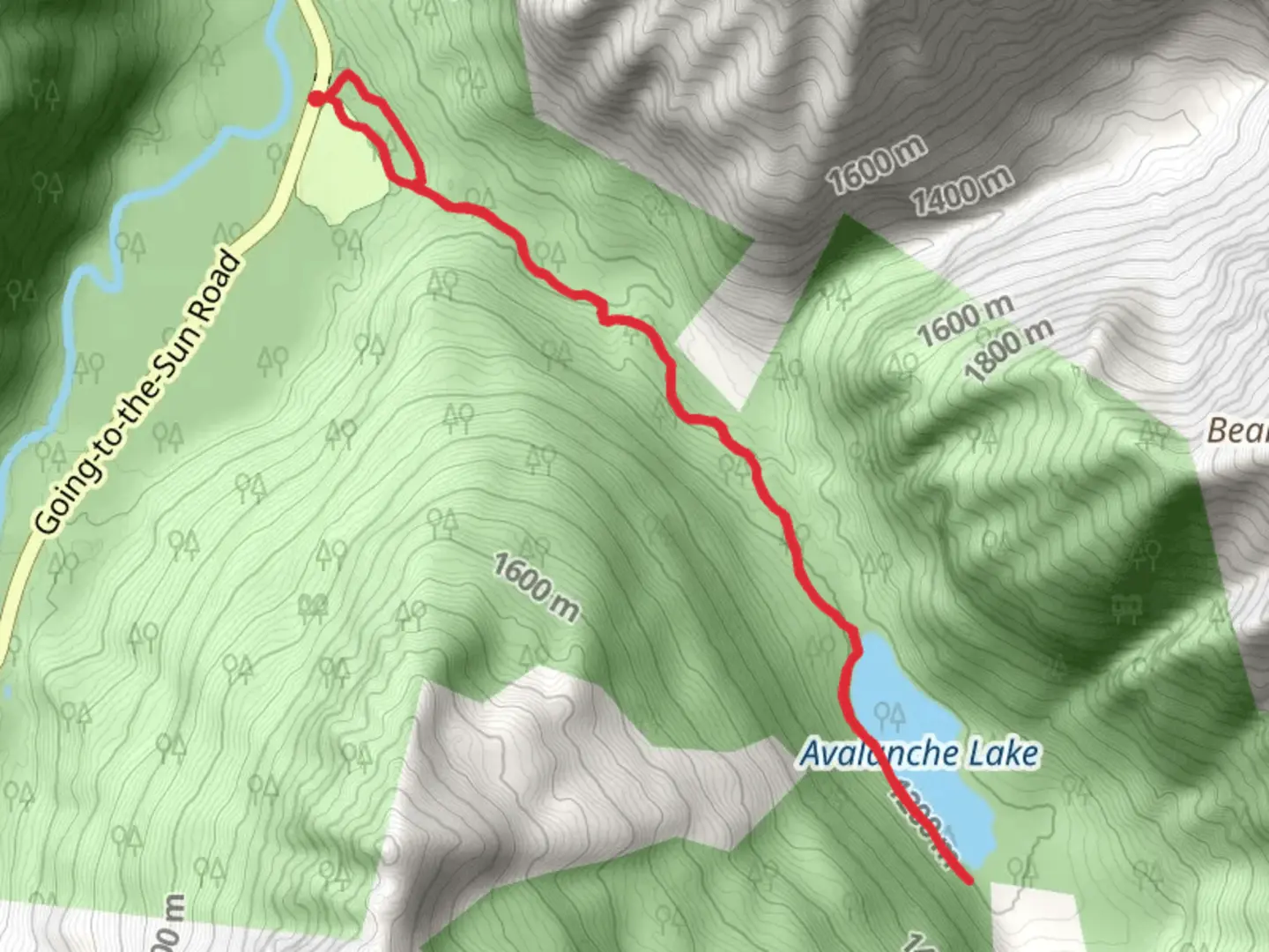 An image depicting the trail Avalanche Lake - Trail of the Cedars and its surrounding area.