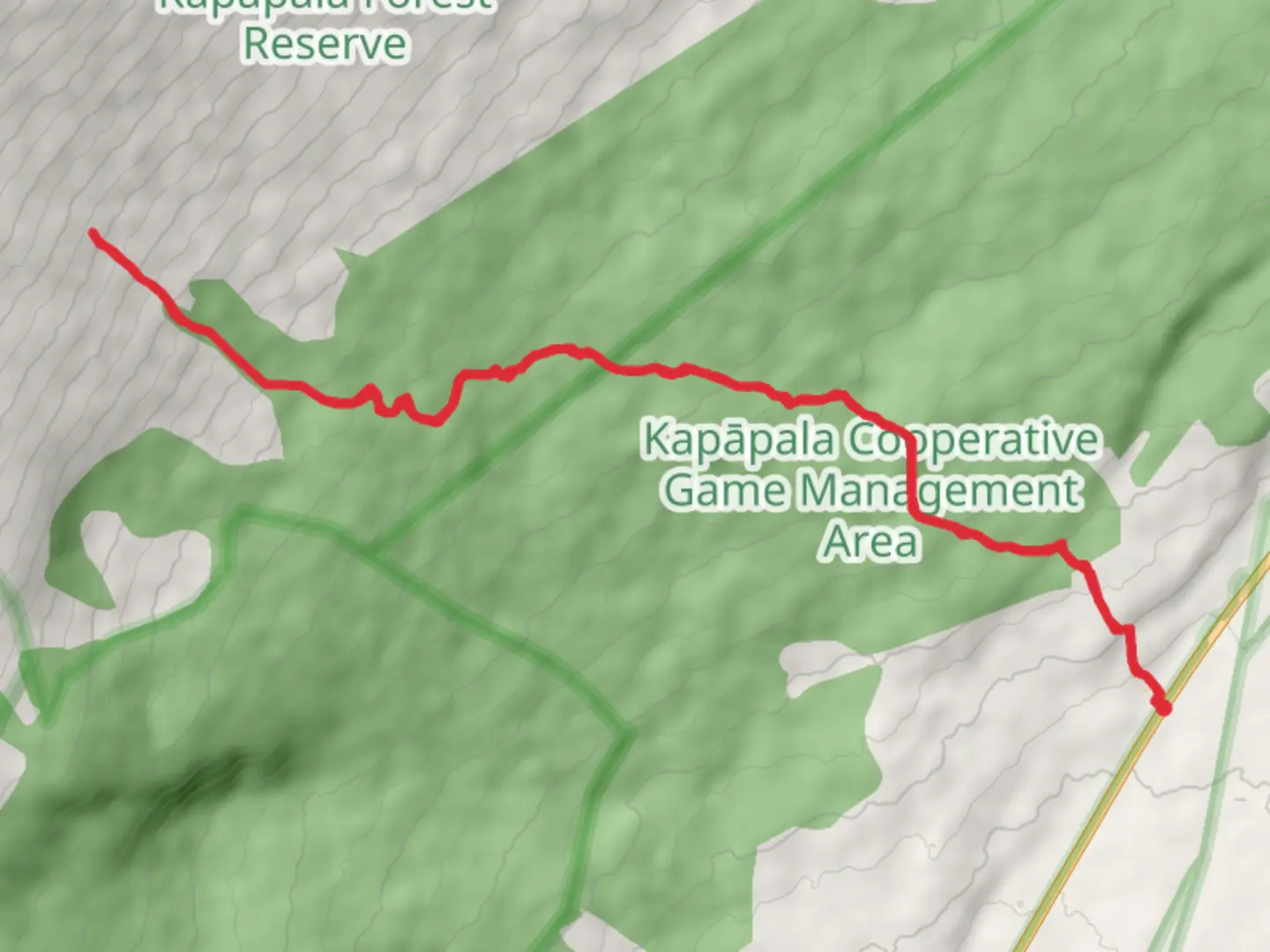 An image depicting the trail Ainapo Trail - Short and its surrounding area.