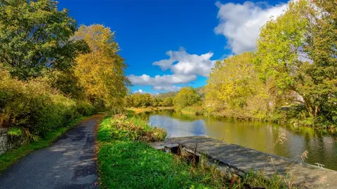 An image depicting the trail Forth and Clyde - Union Canal Towpath and its surrounding area.