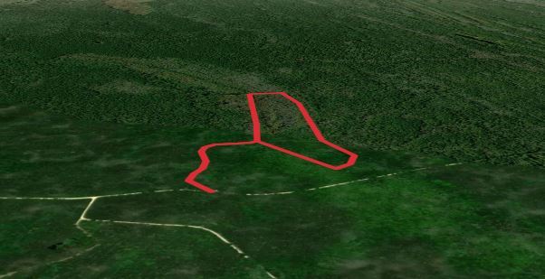 I'on Swamp Interpretive Trail