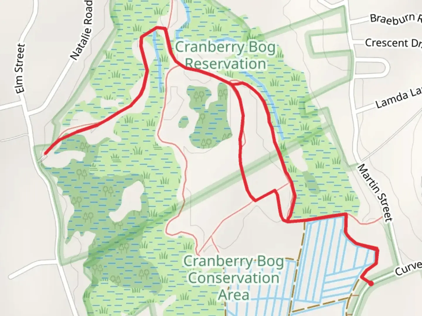An image depicting the trail Cranberry Bog Reservoir Number One and its surrounding area.