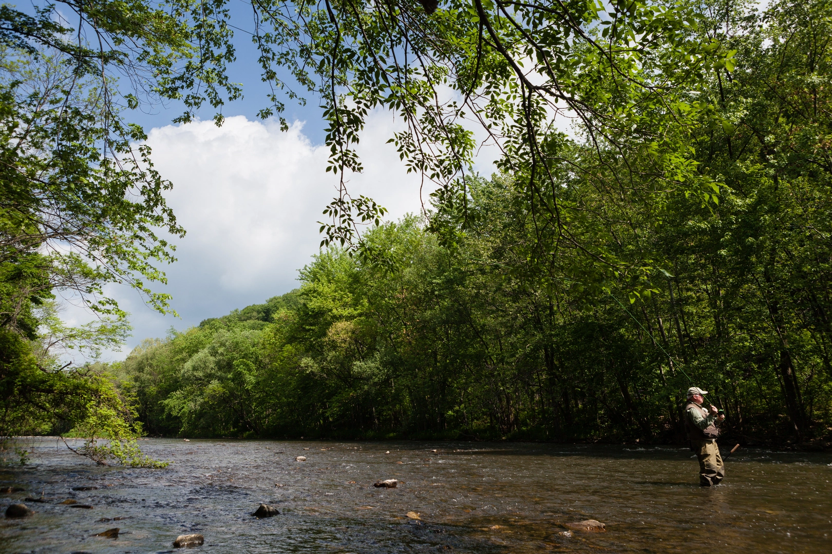 An image depicting the trail Mid-State Trail from Little Juniata River and its surrounding area.