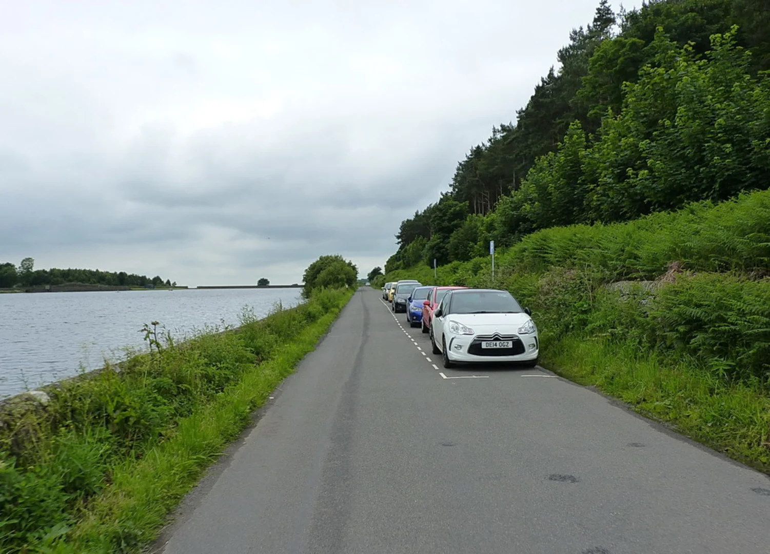 An image depicting the trail Loop beside Trentabank and Ridgegate Reservoir and its surrounding area.