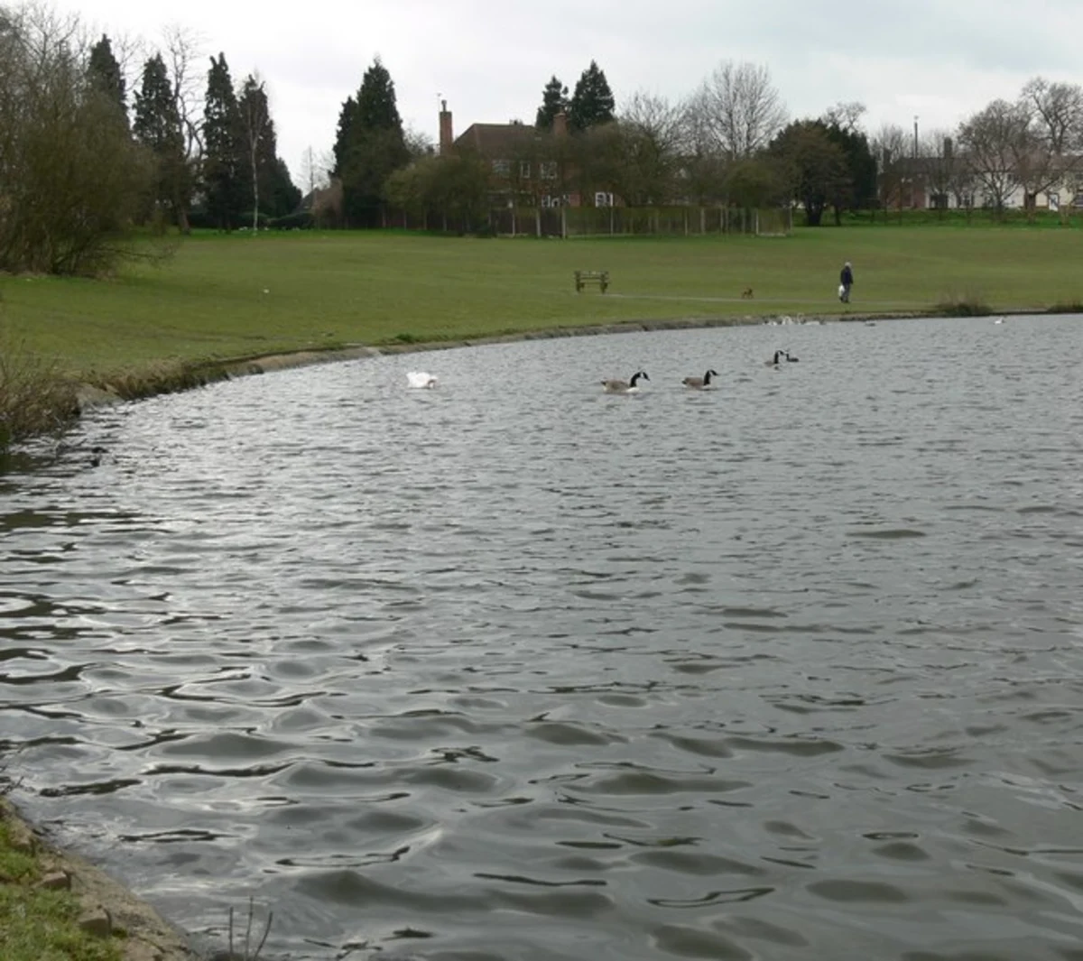 Braunstone Park Loop