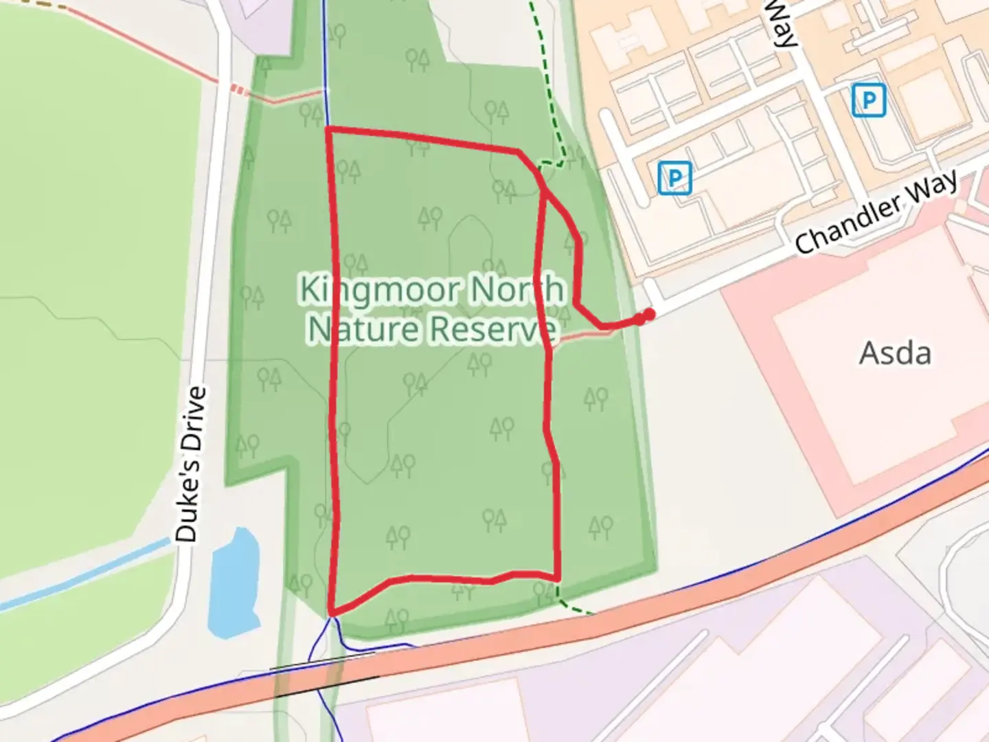 An image depicting the trail Kingmoor North Nature Reserve Loop and its surrounding area.