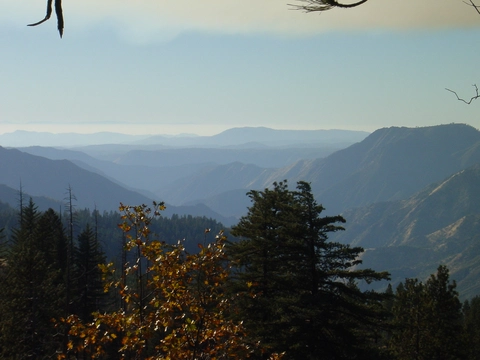 Monroe Meadows via Indian Creek Trail