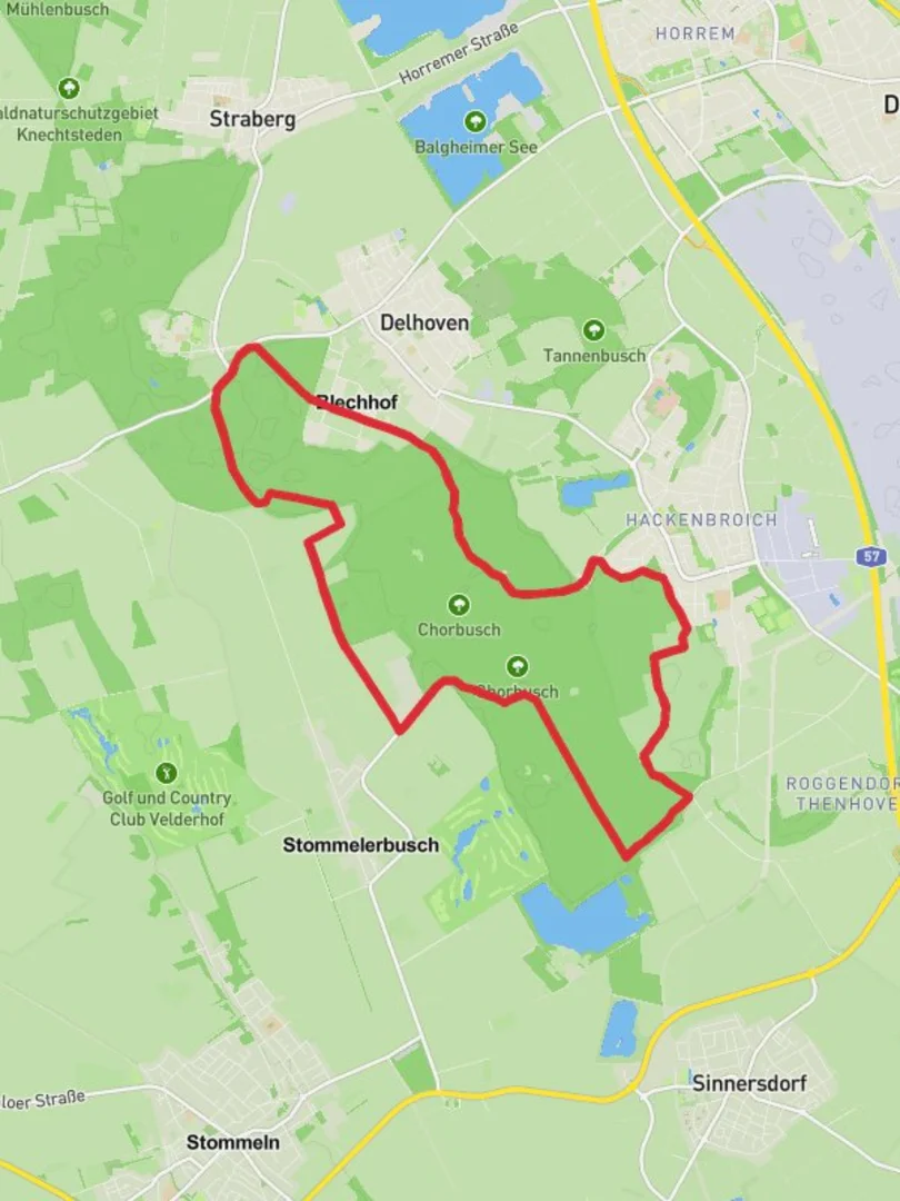 An image depicting the trail Chorbusch Loop and its surrounding area.