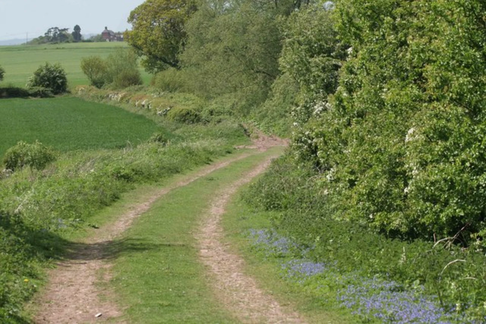 An image depicting the trail Harlaston Country Park Loop and its surrounding area.