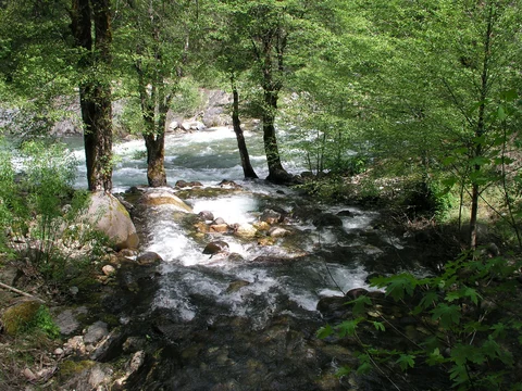 An image depicting the trail Euchre Bar Trail and its surrounding area.