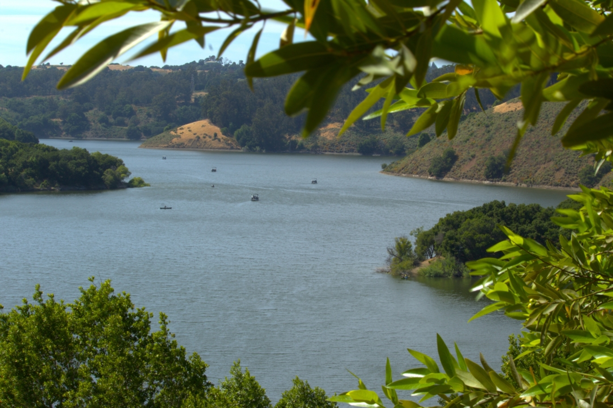 Lake Chabot Loop