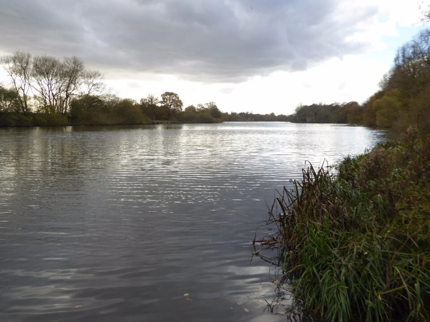 An image depicting the trail Coombe Country Park Loop and its surrounding area.