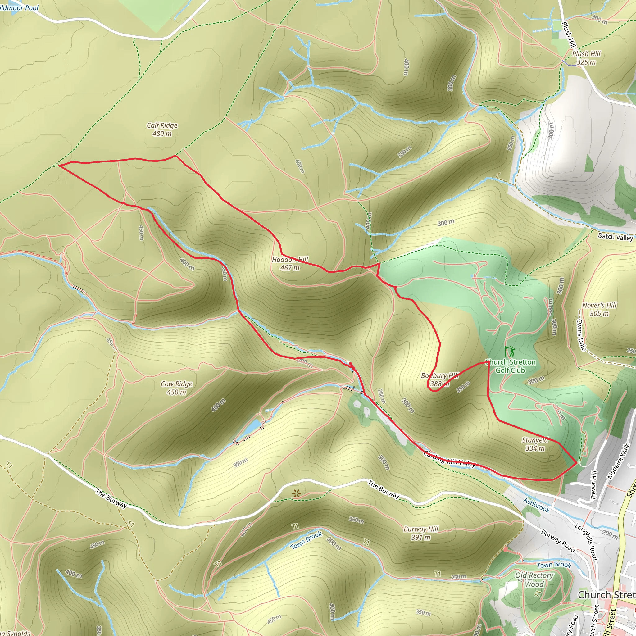 Haddon Hill and Bodbury Hill from Carding Mill Valley mobile static map