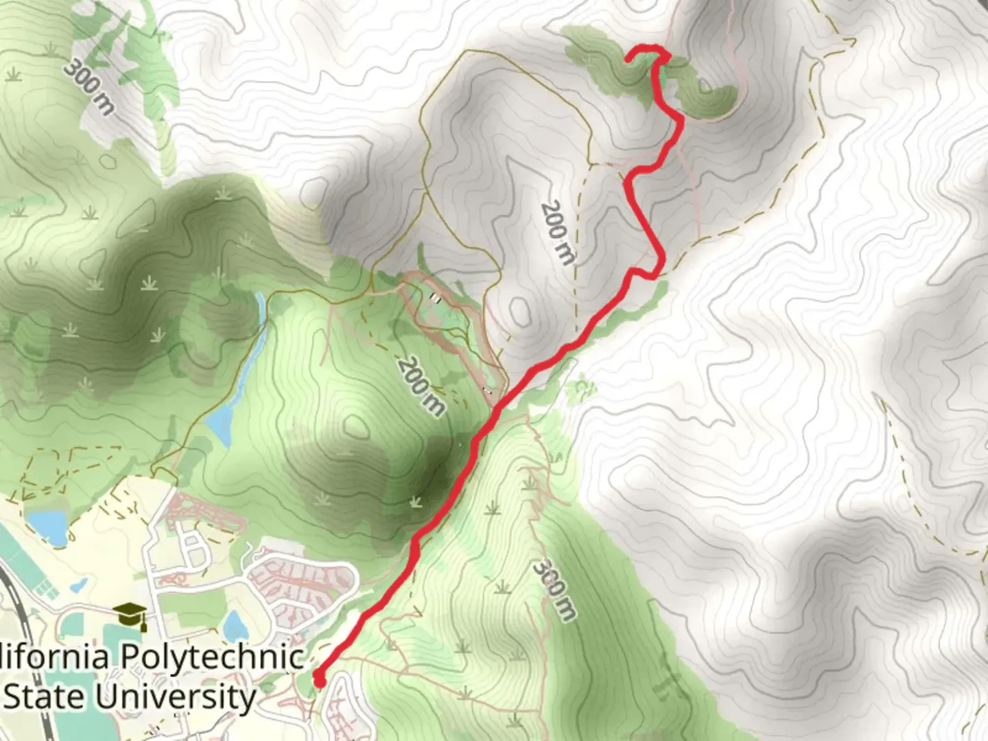 An image depicting the trail Serenity Swing Outlook via Brizzolara Creek and its surrounding area.