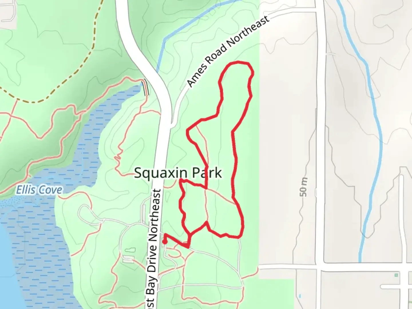 An image depicting the trail East Bay Drive Northeast Loop and its surrounding area.