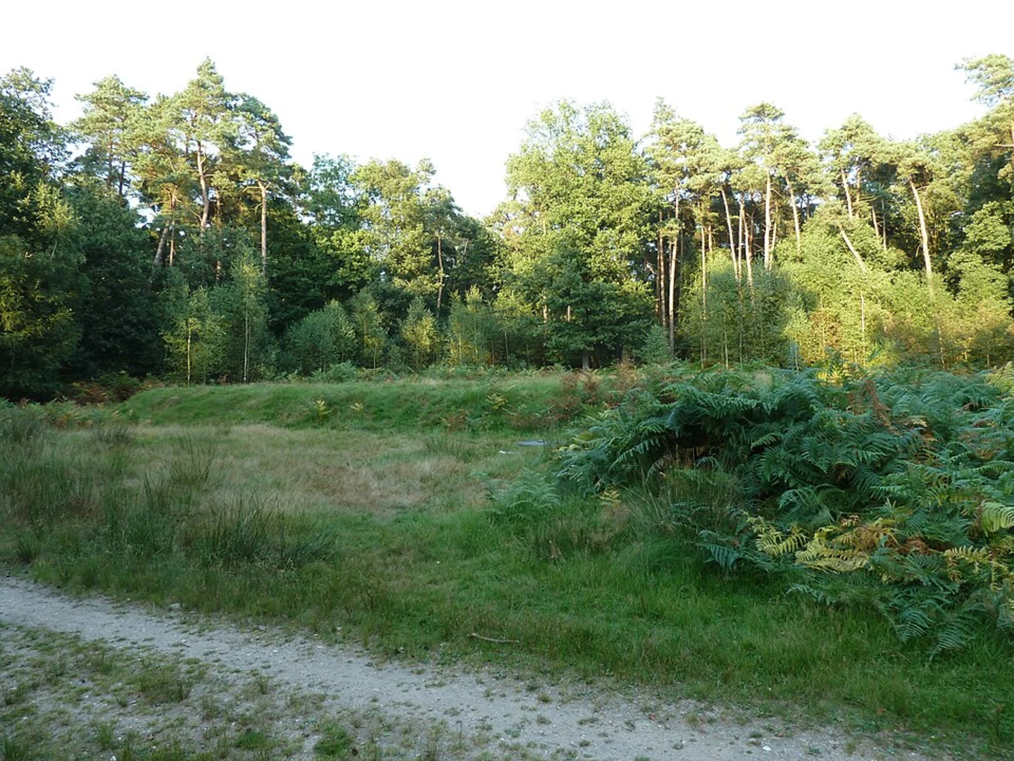 An image depicting the trail Heumensvlak and Heumensoord Loop and its surrounding area.
