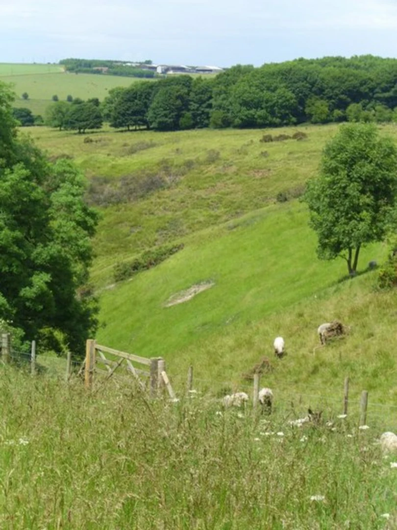 An image depicting the trail Millington to Thixendale Walk and its surrounding area.