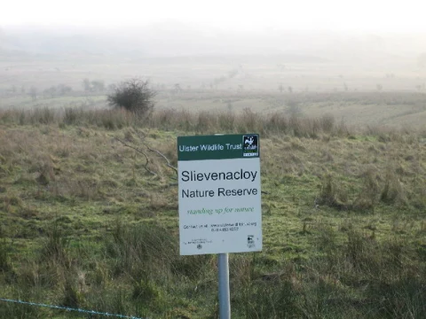 An image depicting the trail Slievenacloy - Ballycolin and its surrounding area.