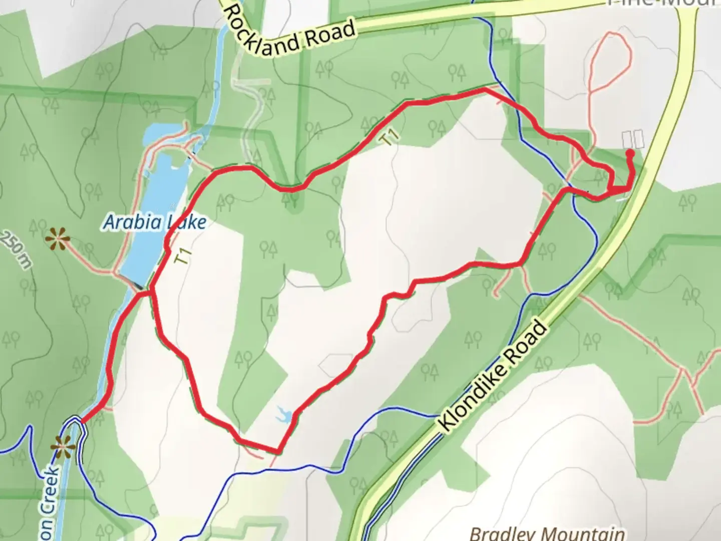 An image depicting the trail Forest and Mile Rock Loop Trail and its surrounding area.