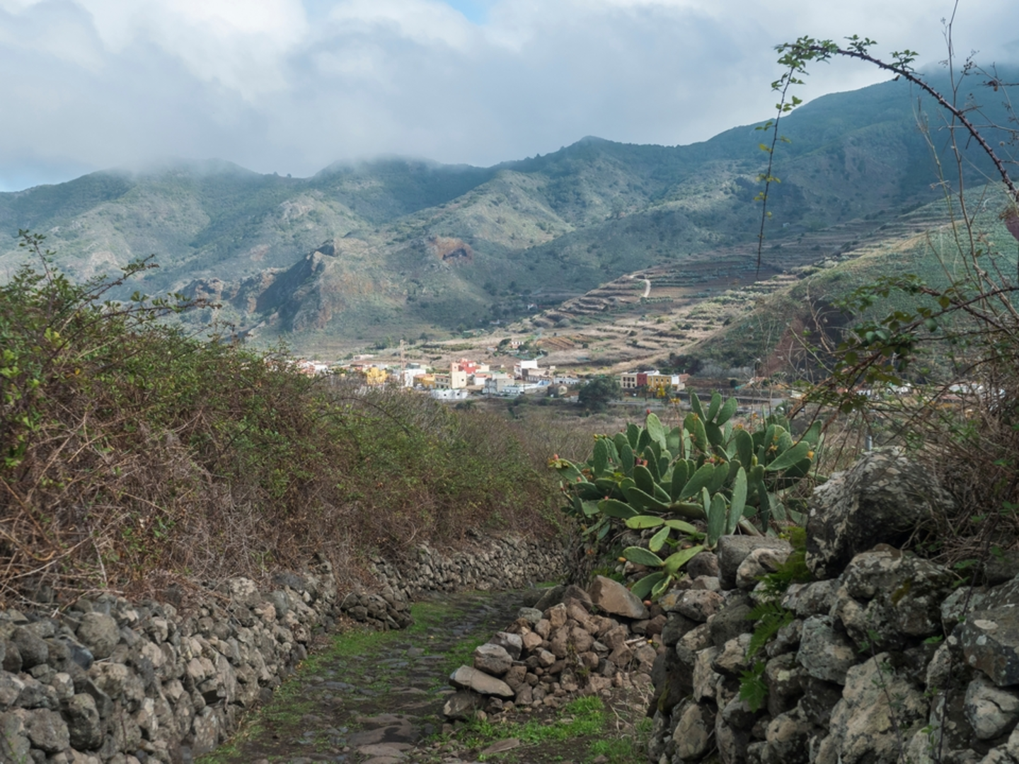 An image depicting the trail Los Silos - Talavera - El Palmar PR TF 55 and its surrounding area.