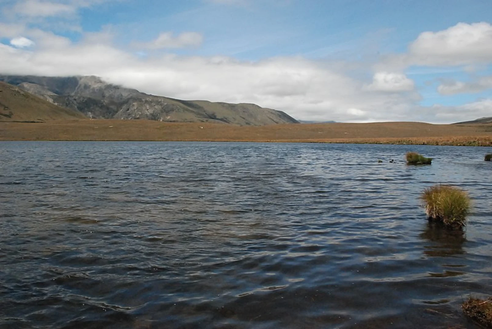 An image depicting the trail Lake Emily to Manuka Hut and its surrounding area.
