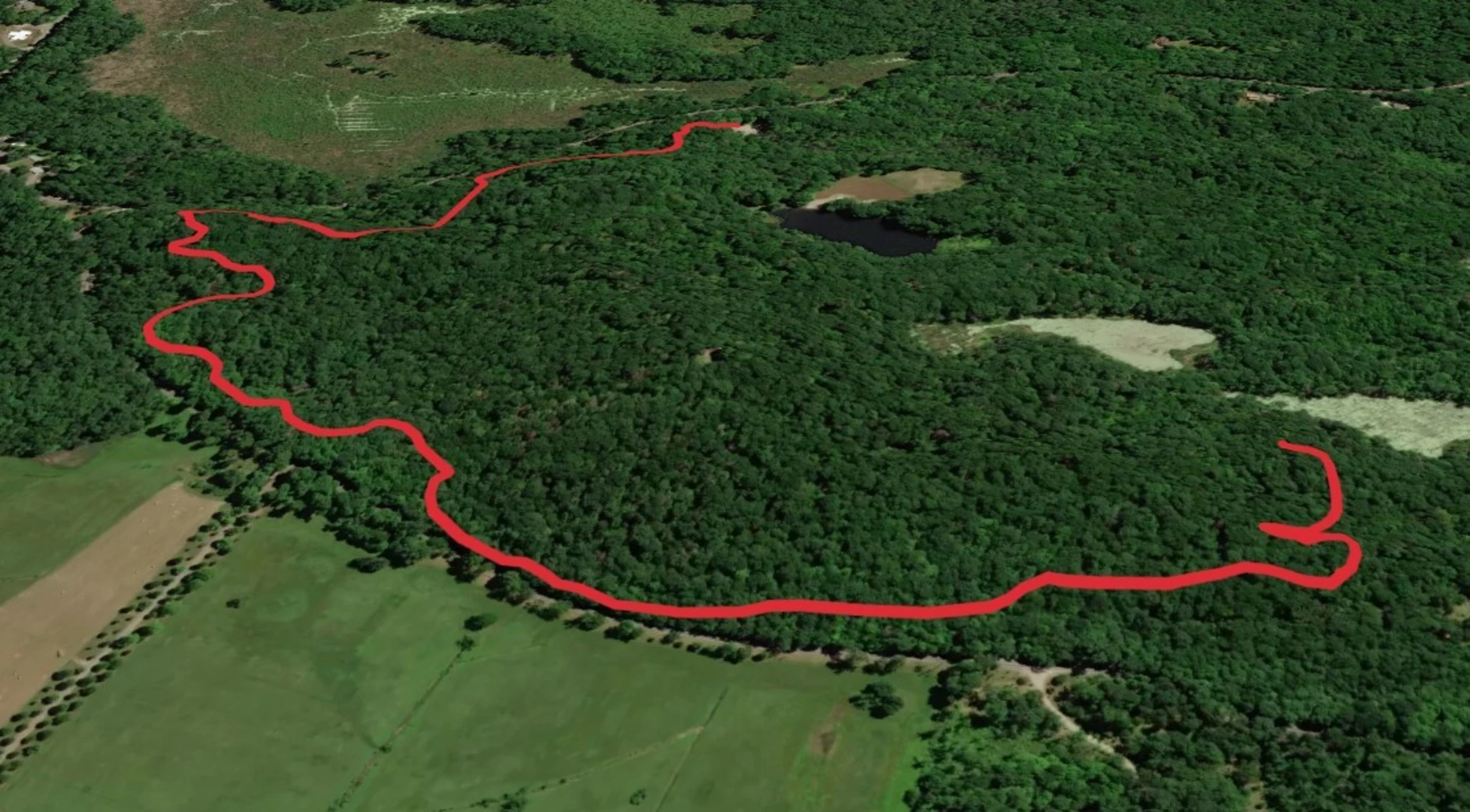 An image depicting the trail Mount Rutsen from Rutsen Road and its surrounding area.