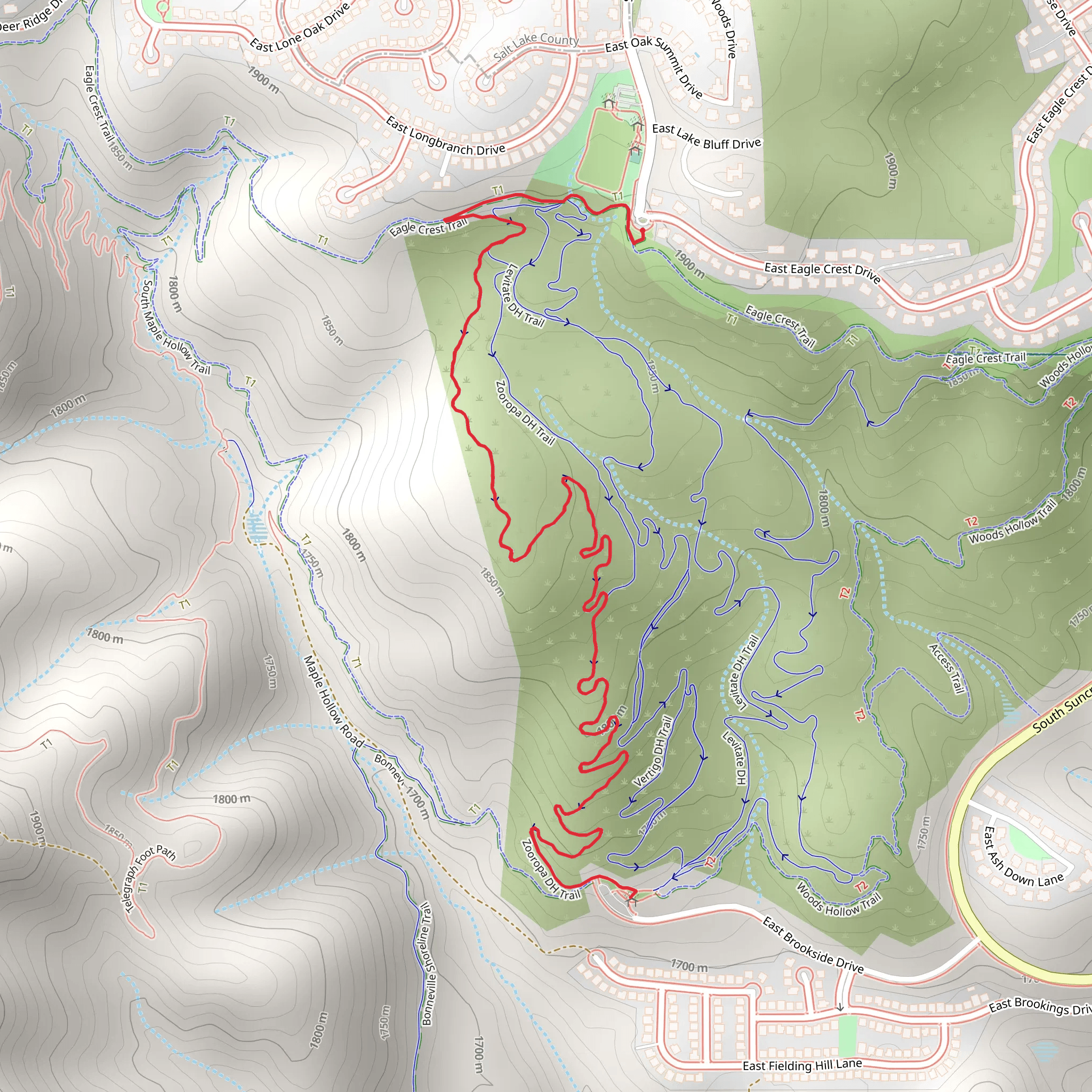 Eagle Crest and Zooropa Trail DH mobile static map