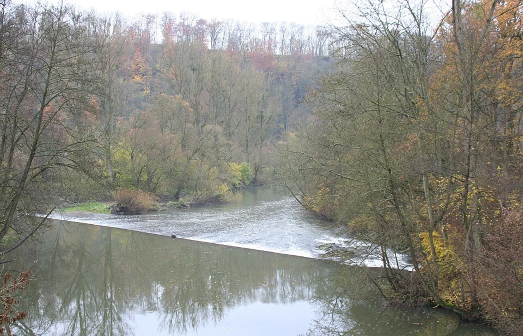 An image depicting the trail Ludwigswinkel Rundweg 6 and its surrounding area.