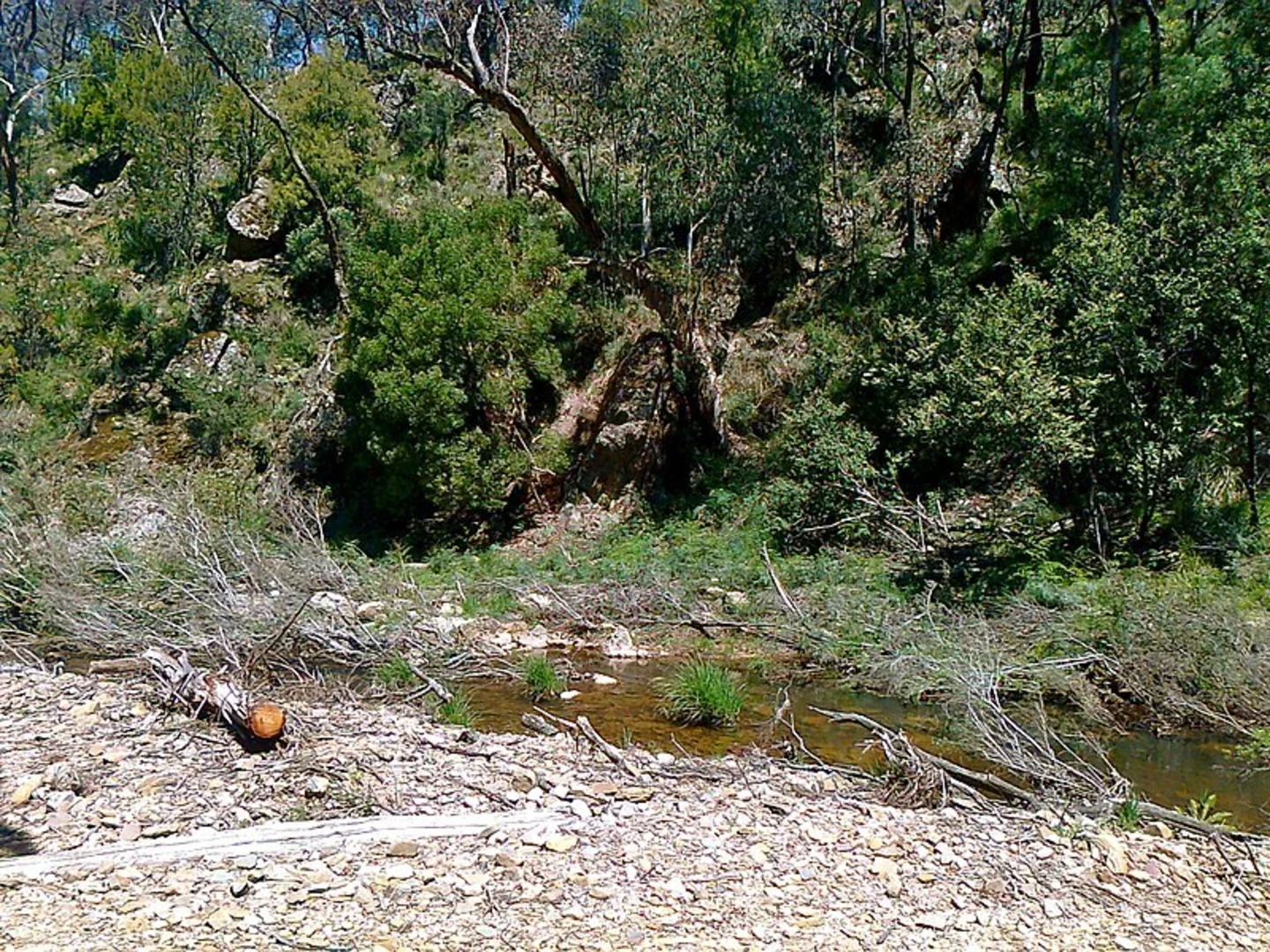 An image depicting the trail East Walk and Cowan Track and its surrounding area.
