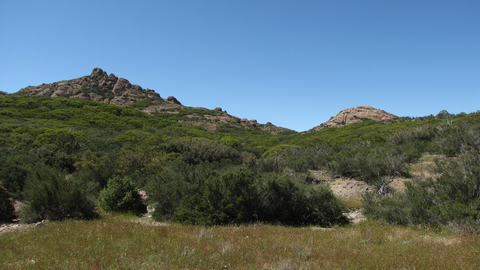 An image depicting the trail Mishe Mokwa Trail to Split Rock Trail and its surrounding area.