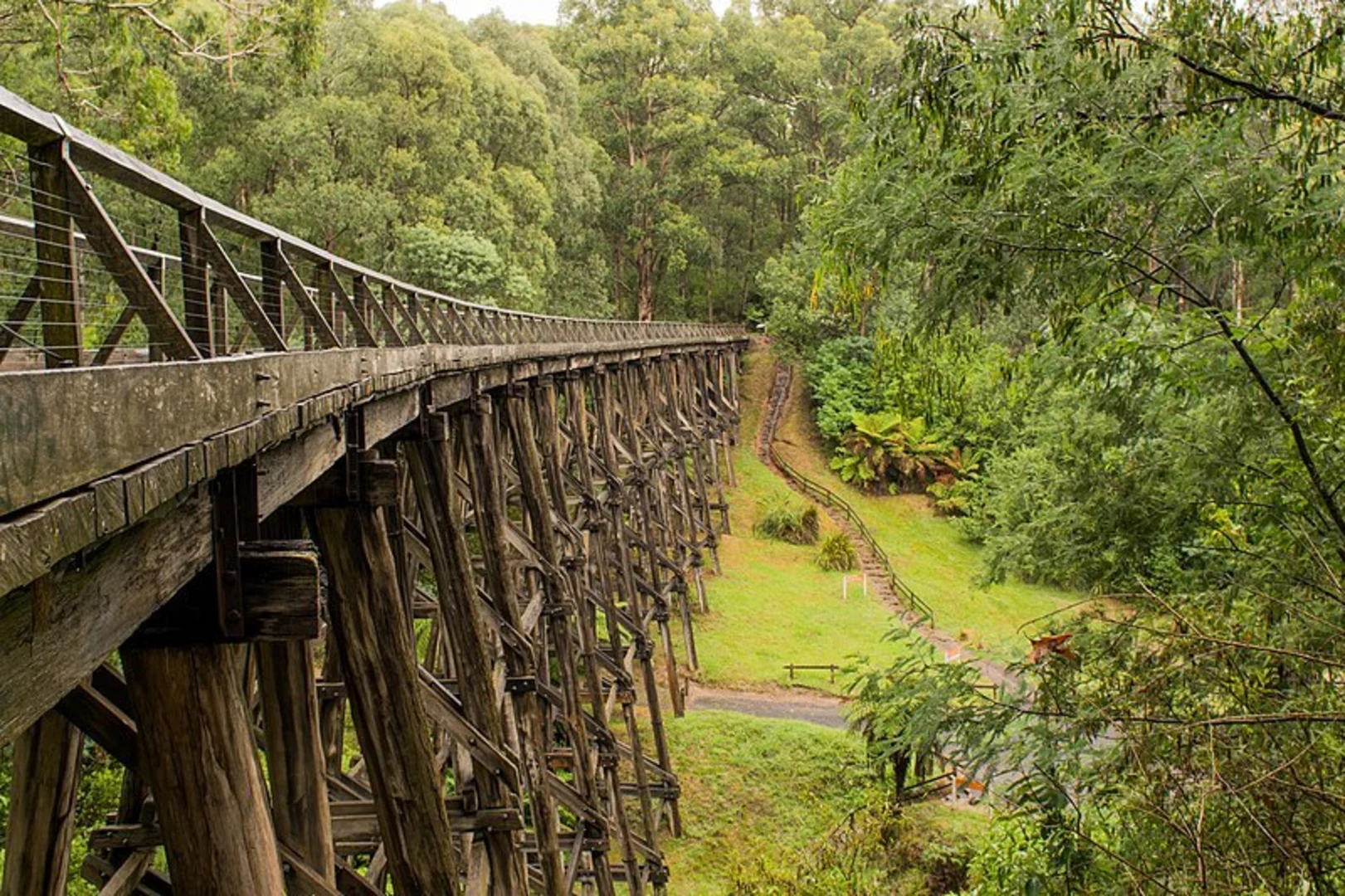 An image depicting the trail Nojee Trestle Bridge Trail and its surrounding area.