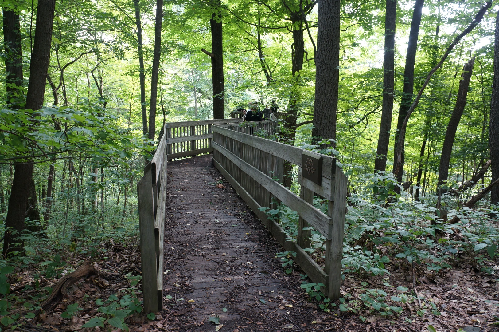 An image depicting the trail Beechwood Farms to Fox Chapel Trail and its surrounding area.