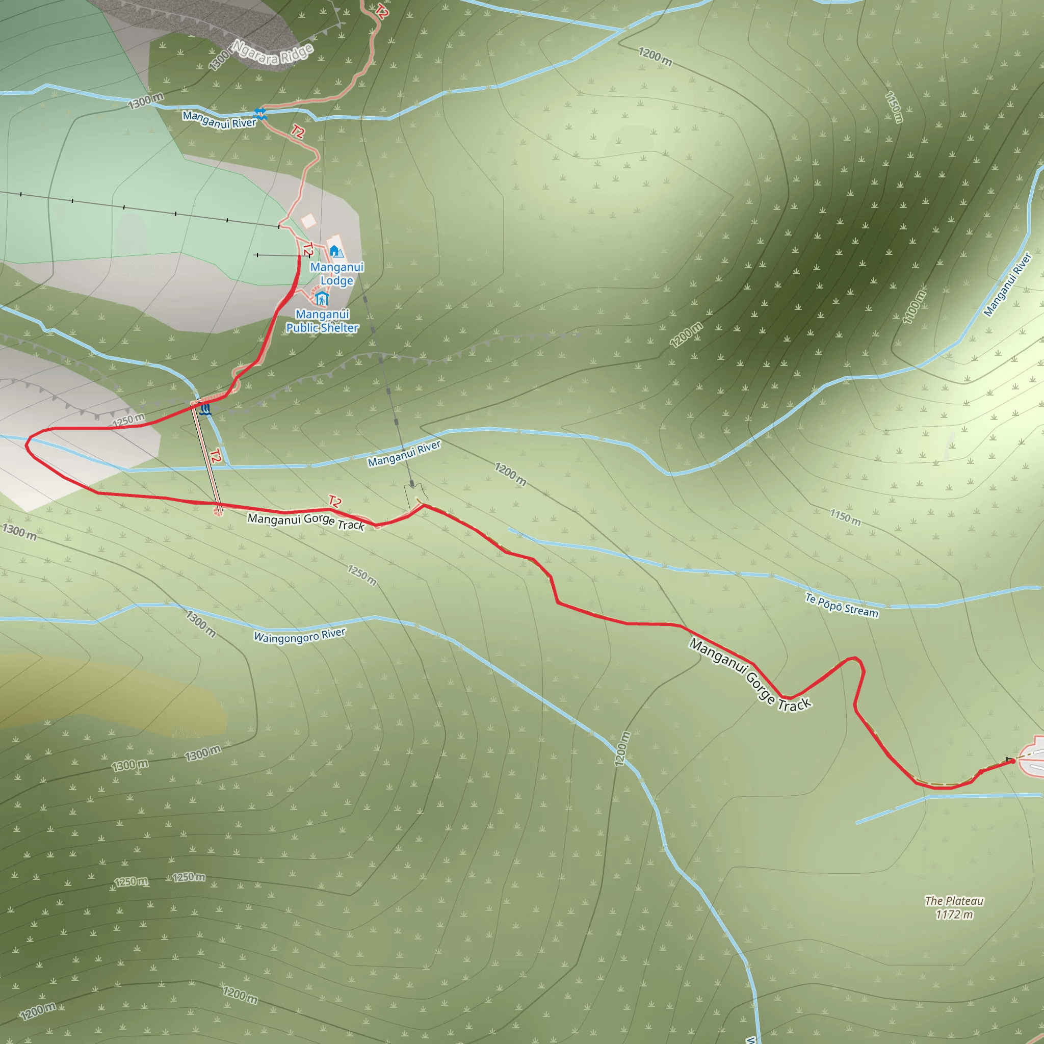 Manganui Gorge Track mobile static map