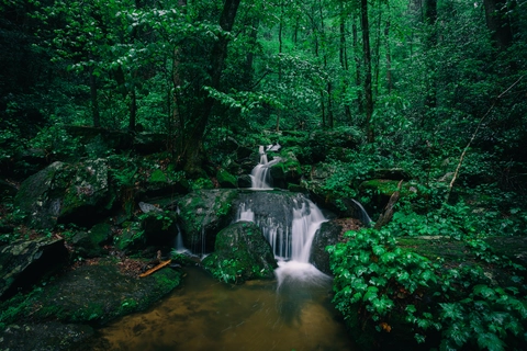 An image depicting the trail Lee Falls and its surrounding area.