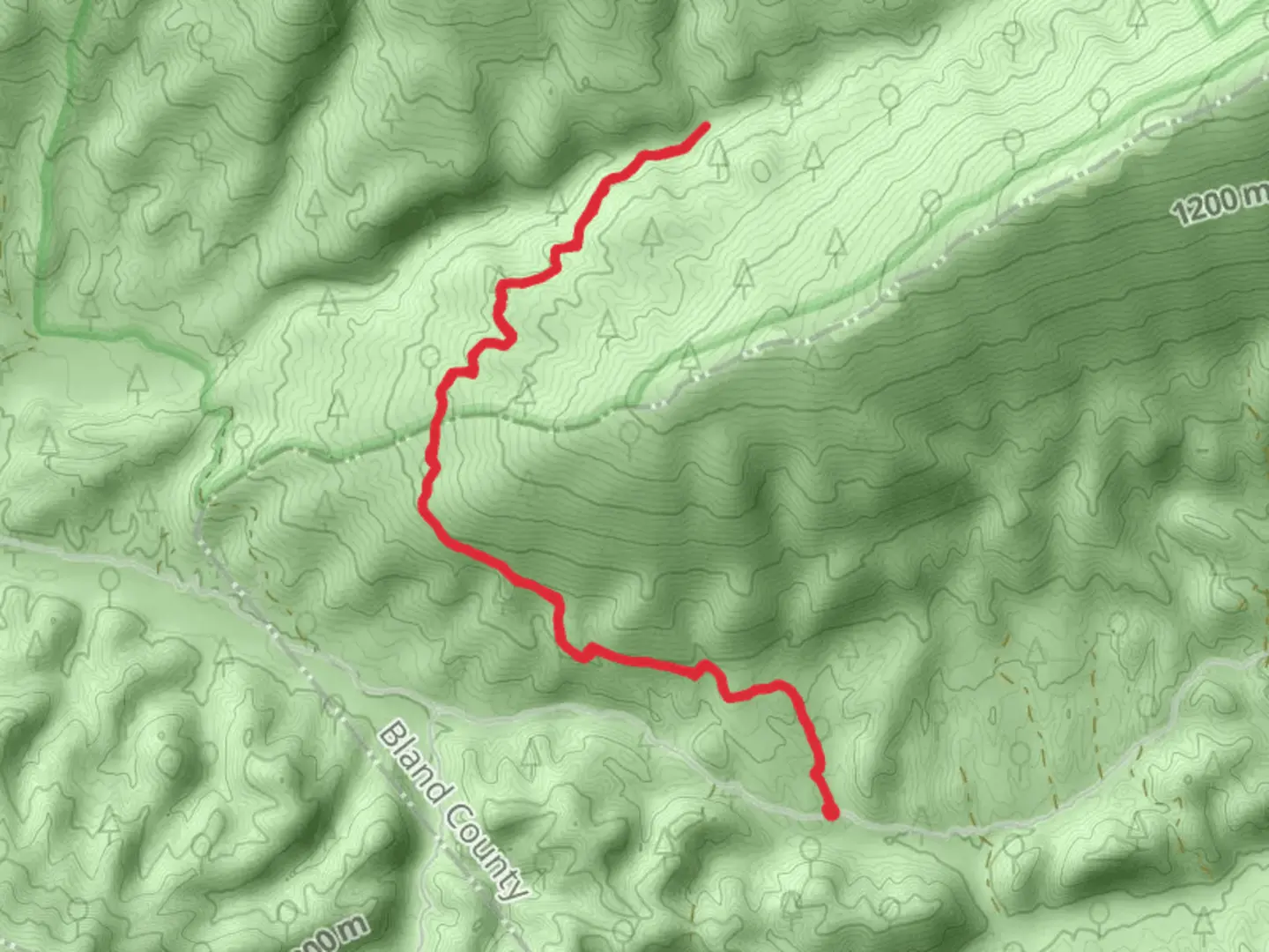 An image depicting the trail Roaring Fork Trail and its surrounding area.