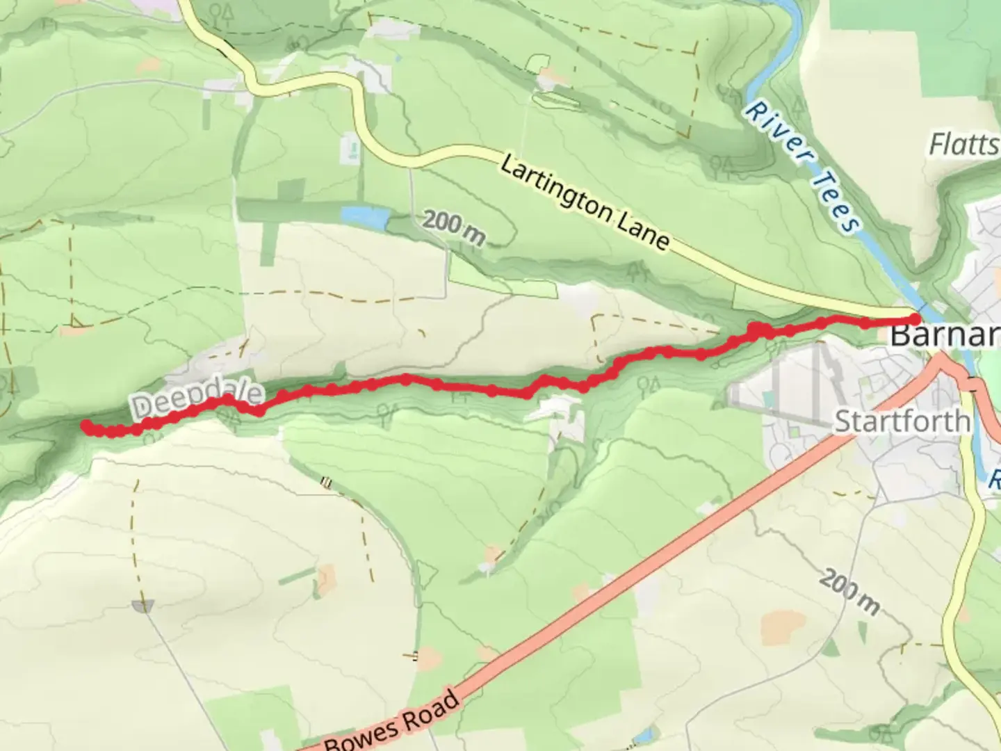 An image depicting the trail The Stone Face in Deepdale Woods and its surrounding area.