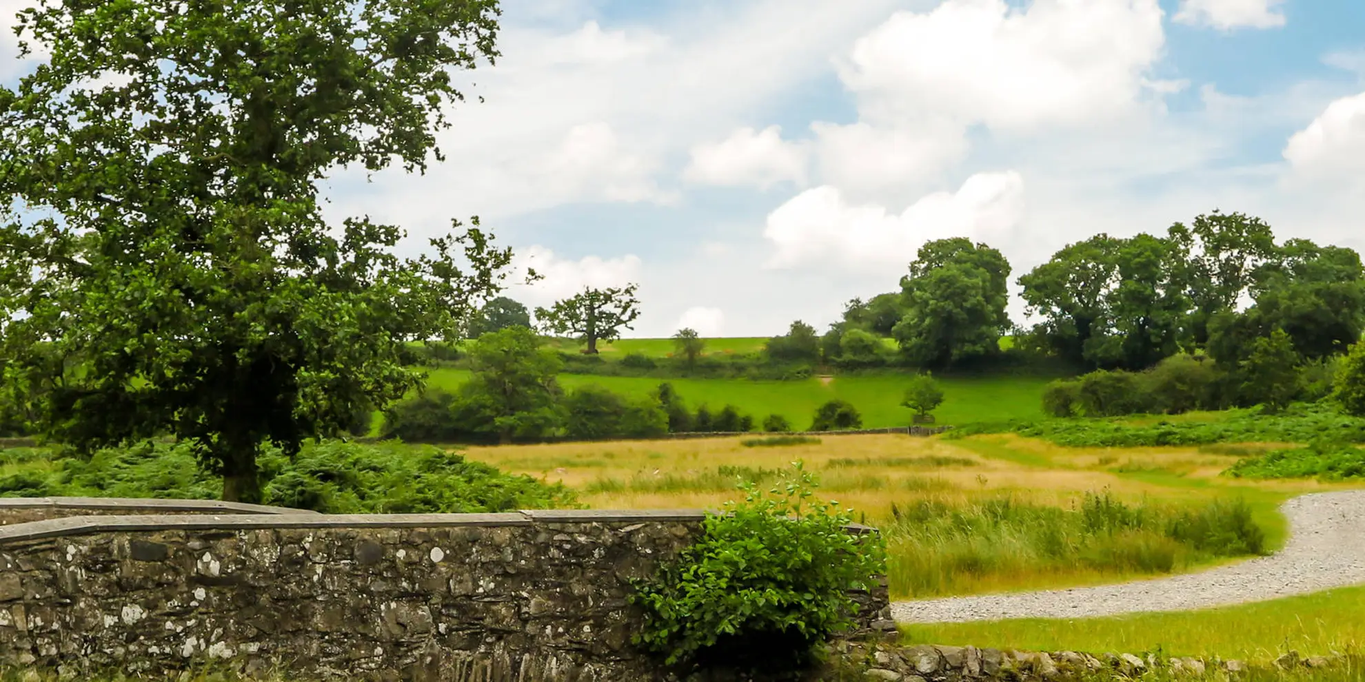 An image depicting the trail Bradgate Country Park - Beacon Hill and Swithland Wood and its surrounding area.